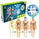 thumbnail image 1 of Juguetes modelo de cuerpo humano para niños, descripción realista de la anatomía humana, 1 of 5