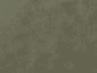 Time and Tru Women's Lina Shoulder Bag, Darkest Olive