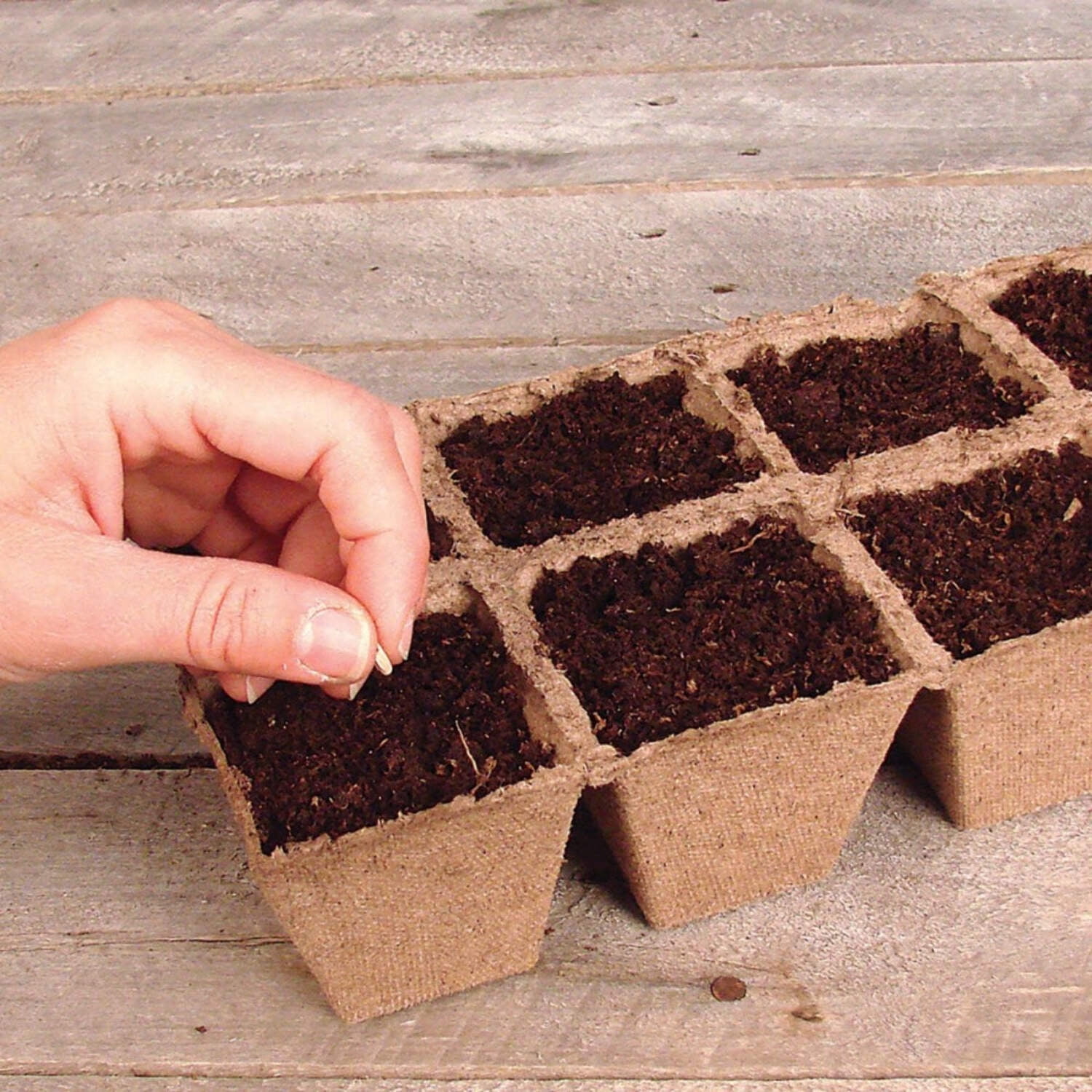 Jiffy Organic Seed Starting 10 Biodegradable Peat Strips (50 Strips - 500 Pot Cells)