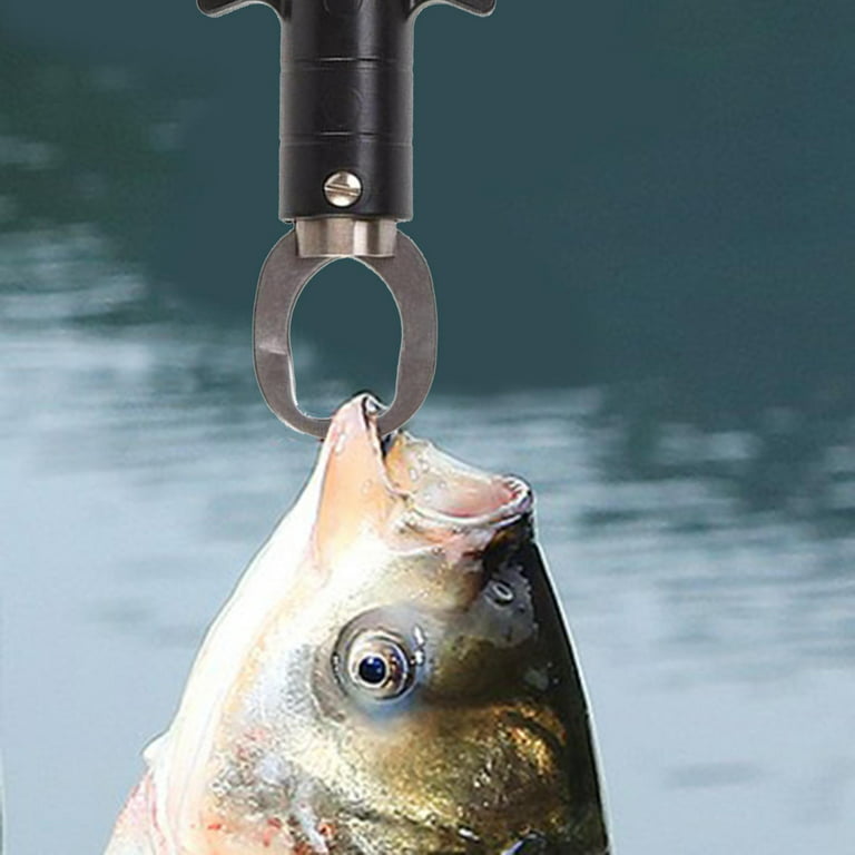 Fish per with Digital Scale, Water-Resistant with Electronic Digital Scale, Fish Grabber Stainless, Size: 31 cm, Black
