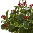 thumbnail image 2 of Nearly Natural 26in. Green Variegated Holly Artificial Plant in Hanging Basket (Real Touch), 2 of 3