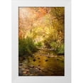 thumbnail image 1 of Murdock, Ramona 13x18 White Modern Wood Framed Museum Art Print Titled - Streams of Light II, 1 of 4