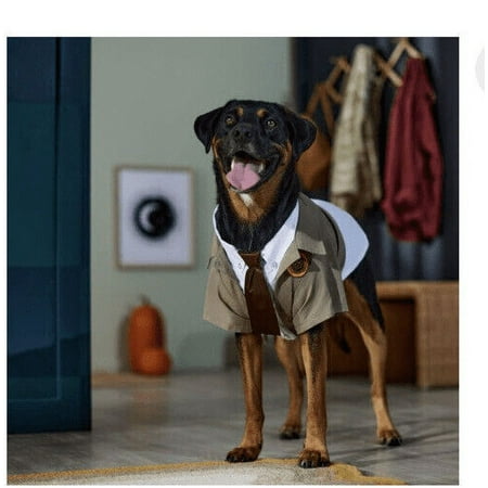 UPC: 0192268539528 | Marvel Loki Variant Dog Costume XLarge