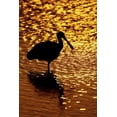 thumbnail image 2 of Morris, Arthur 23x32 Black Ornate Wood Framed with Double Matting Museum Art Print Titled - FL, Vierra Wetlands Roseate spoonbill silhouette, 2 of 4