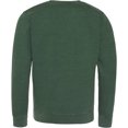 thumbnail image 2 of AWDis Hoods - Sudadera manga larga Modelo Washed Look hombre caballero (Verde botella), 2 of 2