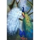 thumbnail image 1 of Drill Diamond Painting (DE4801) 5D DIY Full Lordly Peafowl punto de cruz (B1547) 45x60cm FLhrweasw Nuevo, 1 of 1