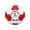 England5, variant on Professional Footbag 1PCS for Adults, National Flag Design Soccer Kickball For Coordination Training And Outdoor Play (Argentina)