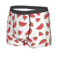 thumbnail image 5 of Goofa Hand Drawn Watermelon Printed Men's Boxer Briefs Underwear, Moisture-Wicking Underwear, Trunk,Soft and Breathable Cotton Underwear-X-Large, 5 of 9