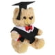 thumbnail image 3 of Graduación Bear Plush Animal de peluche Bear con Tasel Tasel Set Graduate Lindo Bear Graduación Muñecas de oso de peluche Juguete de palo de felpa para suministros de fiesta Negro, 3 of 5