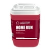 Nanoskin HOME RUN Heavy Duty Deg reaser (Dilution Ratio: 4:1 - 19:1) - 5 Gallon