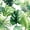 Color 3, variant on Peel and Stick Wallpaper Tropical Green Leaves Monstera Palm Foliage Wall Mural 23.6in x 9.8ft Self Adhesive Removable Wall Paper Renter Friendly Wallpaper for Nursery Bedroom Cabinets