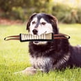 thumbnail image 4 of CBFFDC Dog Training Toy Reflective Dog Training Toy Multipurpose Tear Resistant Interactive Pet Training Toy Pet Supplies, 4 of 7
