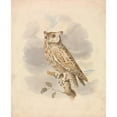 thumbnail image 2 of Samuel Howitt 20x24 Black Ornate Framed Double Matted Museum Art Print Titled: Scops Owl, 2 of 5
