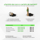thumbnail image 2 of Bolsas purificadoras - Carbón activado biodegradable Biopure BP-BCA-075 Kit 3, 2 of 8
