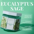 thumbnail image 2 of Scentworx Eucalyptus Sage 3-wick Jar Candle 14.5 oz by Slatkin & Co, 2 of 6