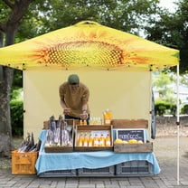 EAGLE PEAK 10 x 10 Pop up Canopy Tent with 1 Detachable Sidewall, Instant Outdoor Folding Shelter