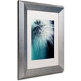 thumbnail image 2 of Trademark Fine Art "Morning Sonata" Canvas Art by Beata Czyzowska Young White Matte, Silver Frame, 2 of 4