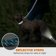 thumbnail image 5 of Taglory Rope Dog Leash with Comfortable Padded Handle, 4ft Reflective Dog Leash, Skyblue, 5 of 7