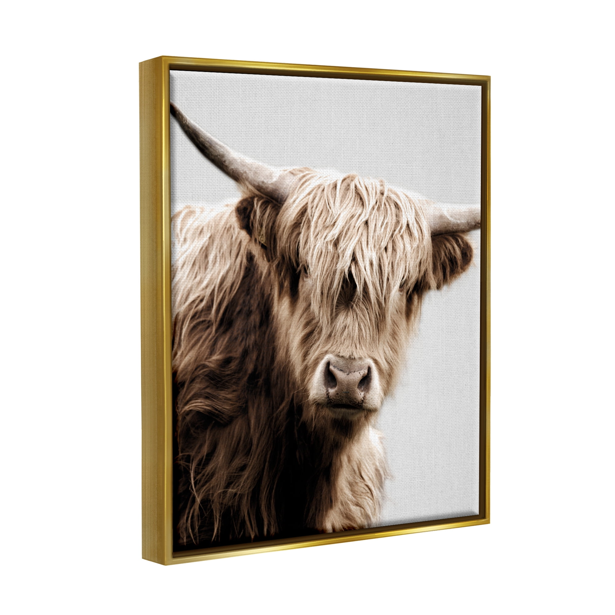 Stupell Industries Wooly Cattle Portrait Animals & Insects Photography Gold Floater Framed Canvas Art Print Wall Art, 17 x 21