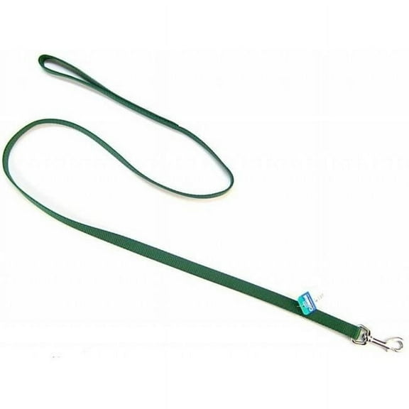 Coastal Pet Nylon Lead - Hunter Green - 4' Long X 5/8" Wide