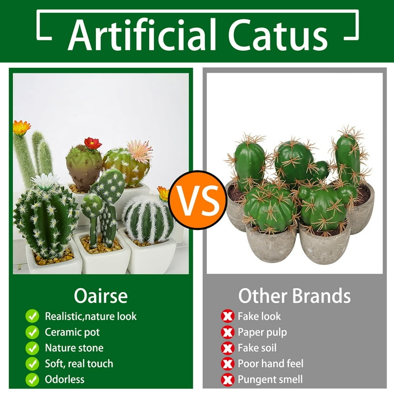 6 Pcs Mini Artificial Cactus Plants in in Ceramic Pots Faux 
