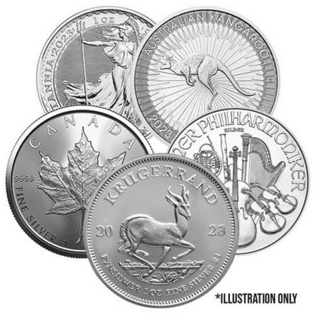 1 oz Circulated Silver Coin - .999 Fine Silver (Random Mint,Year & Condition)