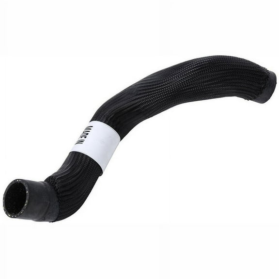 Radiator Outlet Hose