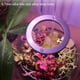 thumbnail image 2 of Las Suculentas Led De Doble Cabeza Crecen La Lámpara De Cultivo De Plantas De Espectro Completo Con Interruptor De Sincronización Automática De Ciclo De 24 Horas Para El Arranque De Semillas, 2 of 6
