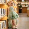 thumbnail image 5 of Girls High Low Halter Tulle Dress, Elegant Layered 3D Mesh Puffy Birthday Party Dresses for 0-4 Years, 5 of 7