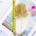 thumbnail image 4 of 12 piezas de plumas de naturales artesanales de 6-8 pulgadas (15-20 cm) para de decoración para hogar perfecl  Manualidades Plumas, 4 of 8