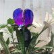 thumbnail image 3 of Lámpara De Césped Con Energía Solar Luz De Tierra Con Pantalla De Vidrio Impermeable Ip65 Forma De Flor Iluminación Blanca Cálida Para Jardín Patio Pasarela Púrpura 2 Piezas Cateissary HA027249-01, 3 of 6
