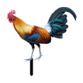thumbnail image 1 of Estaca de jardín de gallo, adorno de pollo, escultura realista, estatua de Animal de pie acrílica, arte de Patio para , suelo, Patio, césped 24cmx23.66cm, 1 of 8