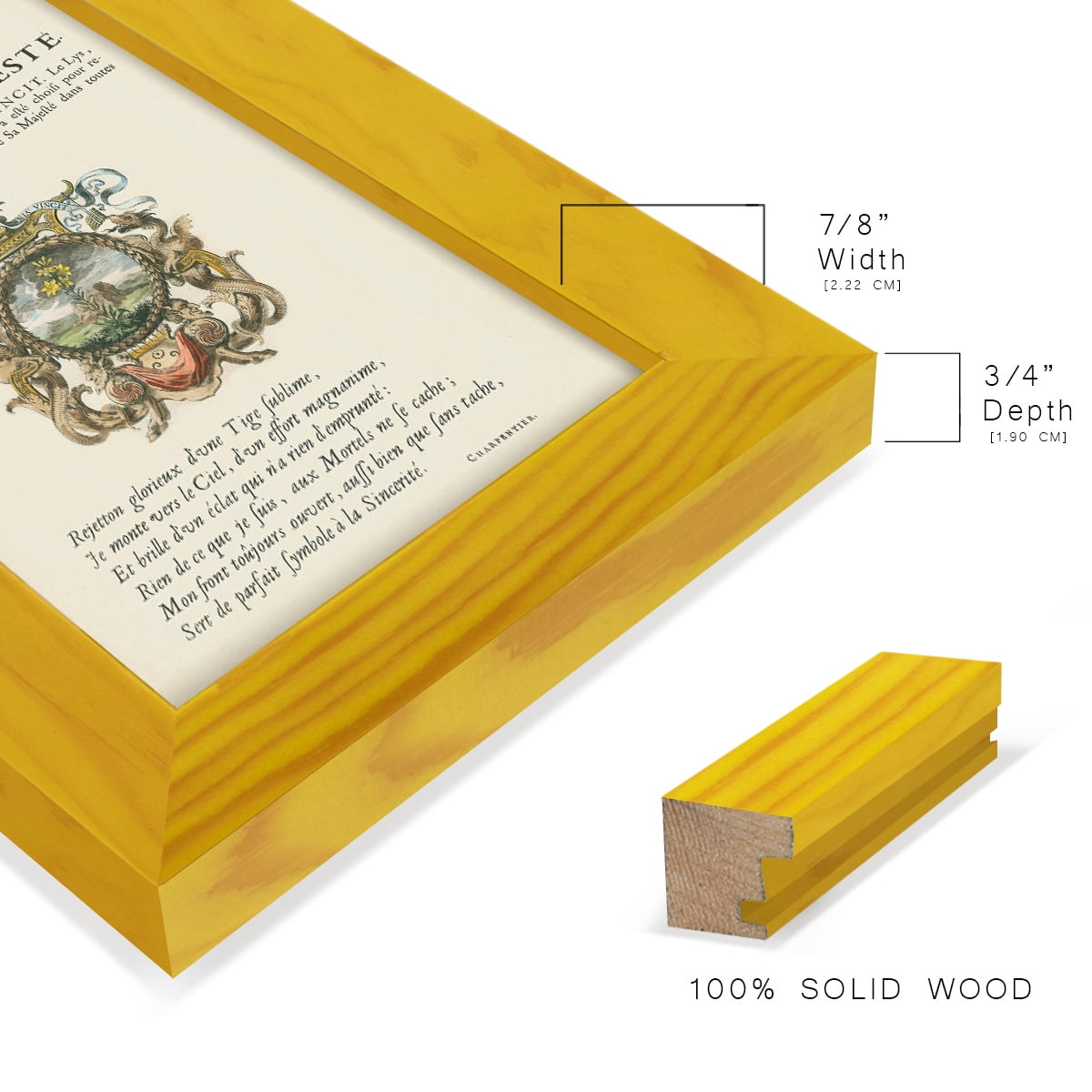 Printed Embellished Bookplate VI - Framed Print w/glass - Sunflower Yellow