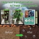 thumbnail image 3 of 36x Plant Nutrition Bars Nitrogen Phosphorus Potassium for Healthy Growth of Plant Fruit Vegetables Flowers Compound Fertilizer, 3 of 5