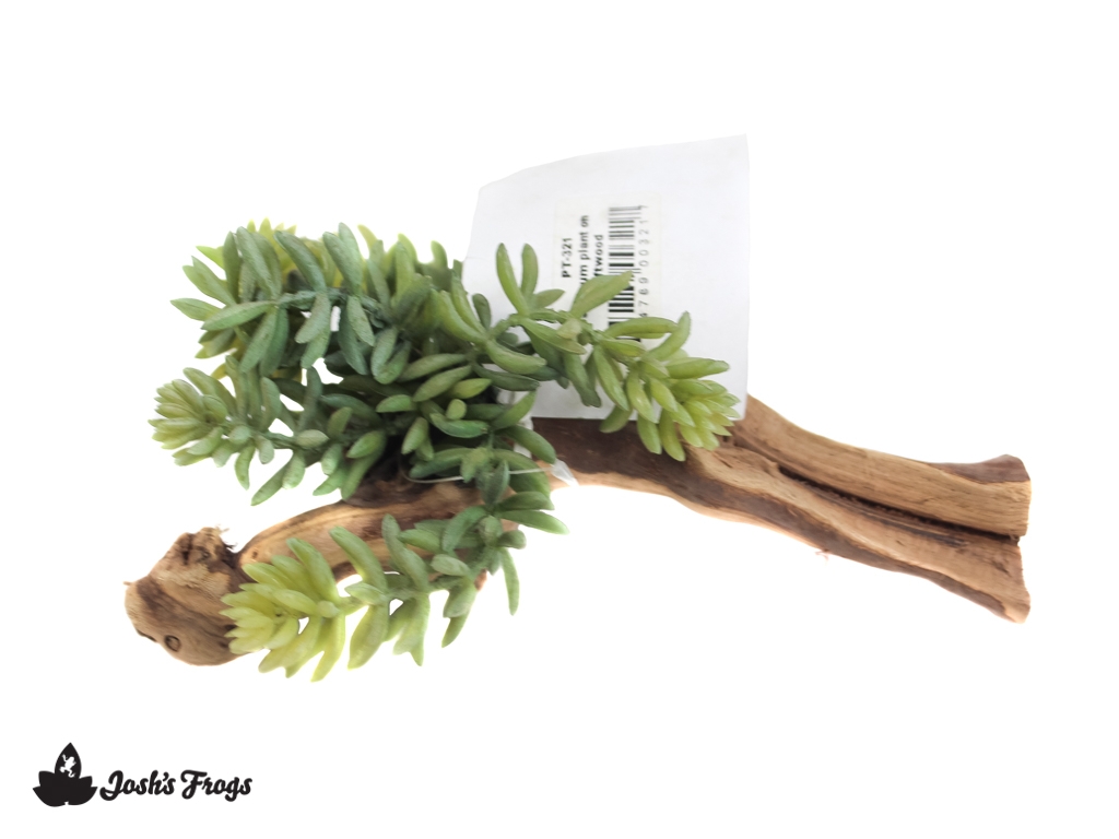 Pet-Tekk Habi-Scape Sedrum Plant on Driftwood