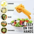 Lemon Fluider Easy Squeeze Manual Lemon Juicer Citrus Juicer That