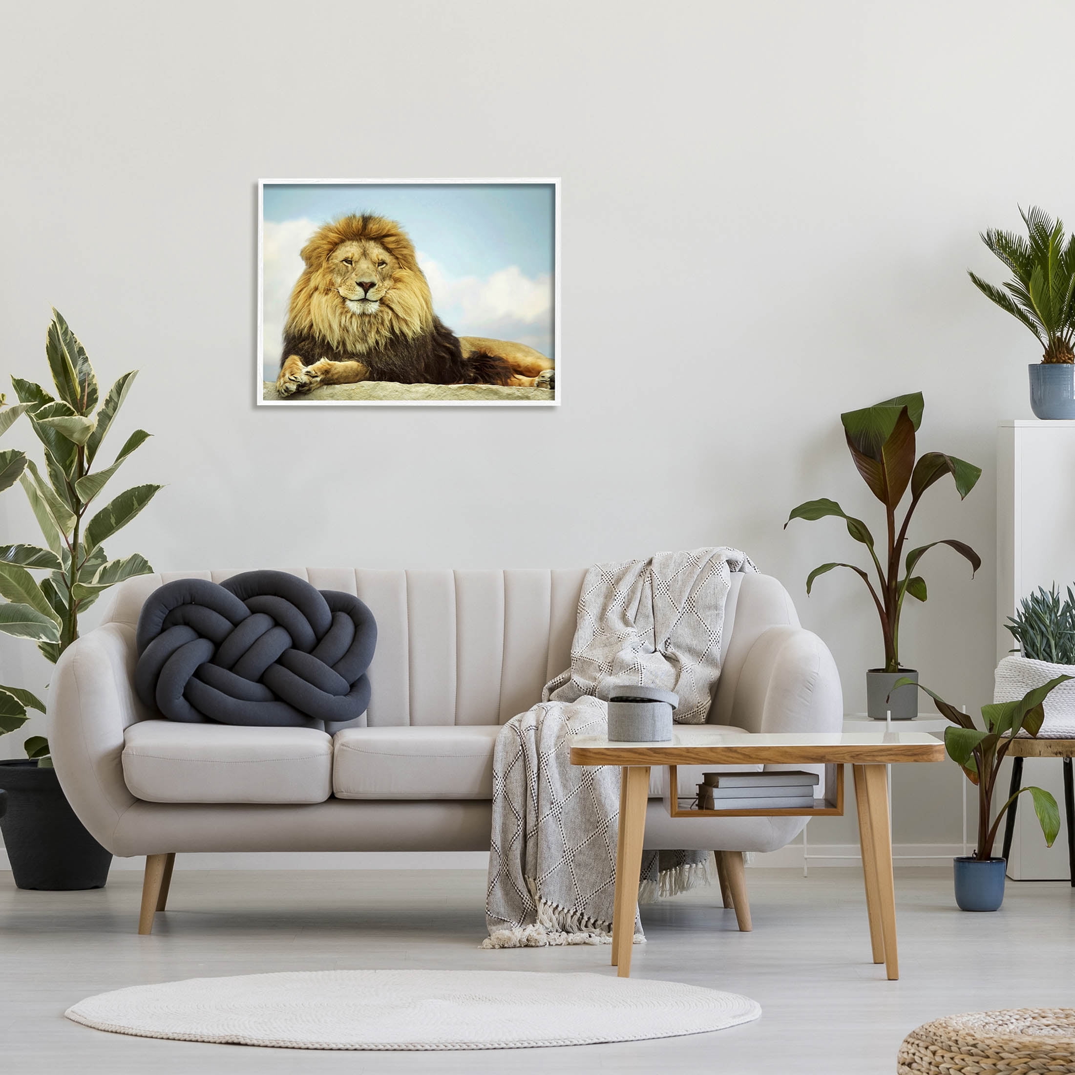Stupell Industries Savanna Lion Photography Portrait Photograph White Framed Art Print Wall Art, Design by Carrie Ann Grippo-Pike