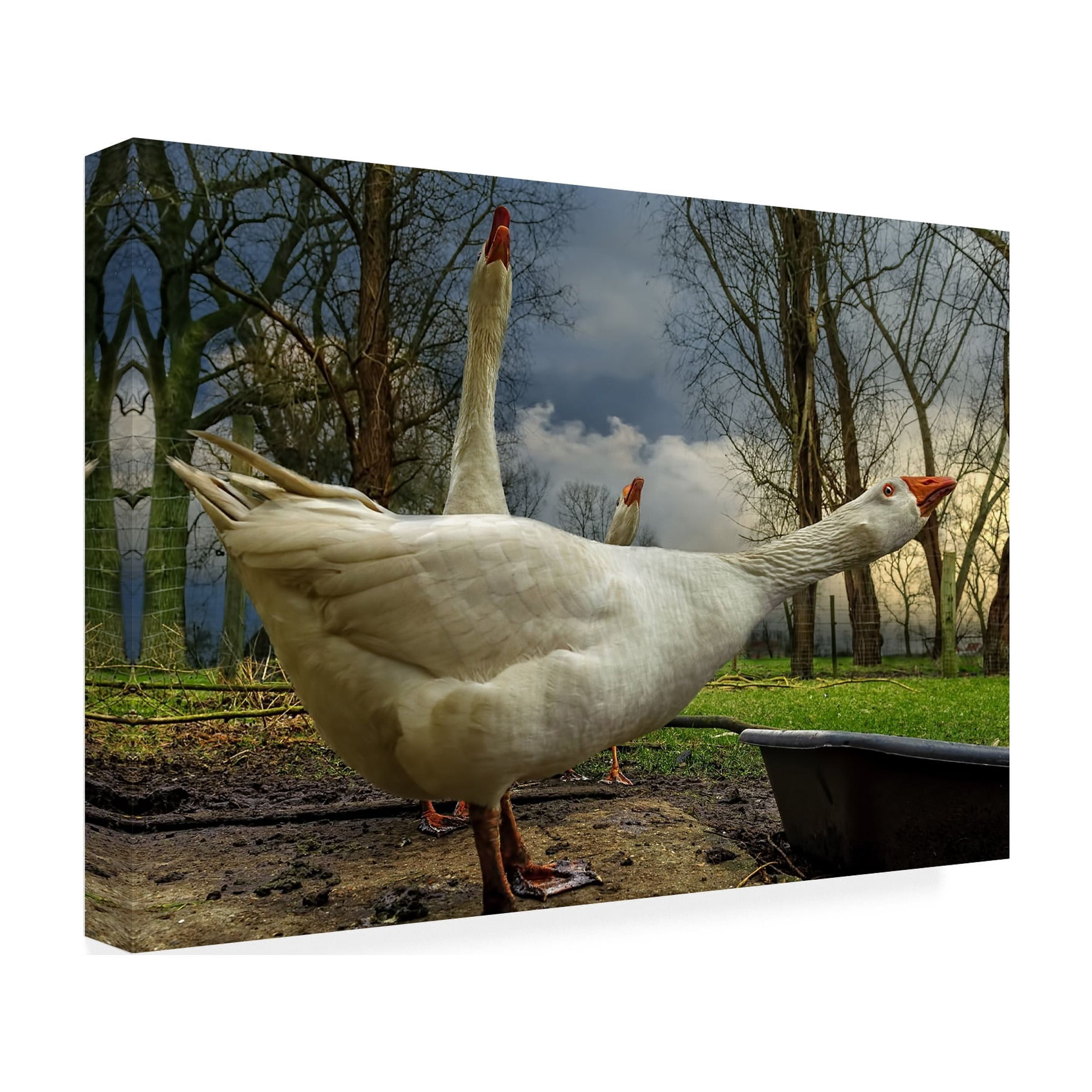 Piet Flour 'The 3 Geese' Canvas Art