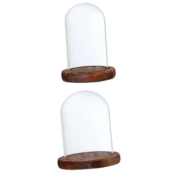 DOLITY 2Pcs Clear Glass Cloche Dome Holder with Cover and Base Home Office Garden