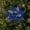 Blue, variant on Christmas Flowers Magnolia Flowers Poinsettia Flowers Glitter Sequin Christmas Tree Decorations Artificial Velvet Xmas Ornaments for Tree Table Decor Winter Holiday Wedding Party Decoration