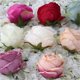thumbnail image 3 of Simulación de rosa rizada, cabeza de flor, ramillete de flores de seda, arreglo floral para boda, flor de rosa, 3 of 6