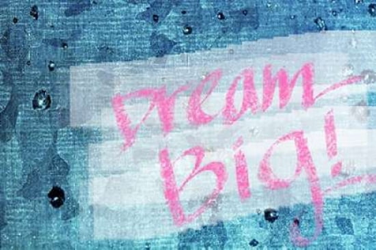 Dream Big Canvas Art - Susan Bryant(20X28)