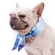 thumbnail image 5 of Methold Pañuelo refrescante para perros, accesorio de verano, bufanda refrescante | Collar bandana refrescante para gatos Ropa para mascotas azul METRO, 5 of 6