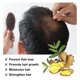 thumbnail image 3 of Roll-on para cabello grueso con jengibre de South Moon, cuidado del cuero cabelludo, nutrición de las raíces del cabello, fortalecimiento del cabello, aceite esencial Roll-on para cabello grueso | |, 3 of 5