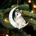 thumbnail image 1 of Perros Colgantes Colgantes Para Árboles De Navidad Decoraciones Para Perros Para Mascotas Colgantes Para Colgar En Ventanas O Puertas Advancent HA042685-06, 1 of 6