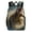HuWng-3, variant on Dinosaur Surfing Epic Wave Ride Teenage Backpack Middle Students Bookbag Outdoor Daypack