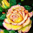 thumbnail image 1 of Flowers - Full Diamond Painting 30x30cm, 1 of 3