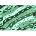 thumbnail image 1 of Ahgly Company Machine Washable Indoor Rectangle Animal Turquoise Blue Modern Area Rugs, 3' x 5', 1 of 4
