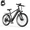G29-Pro Max, variant on AZHAR G29 Electric Bike for Adults, 26 E-Mountain Bicycle,750W,Peak 1200W Motor 48V 10.4Ah Ebike UL2849