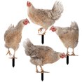 thumbnail image 1 of NUOLUX 4Ud Estaca Decorativa Para Jardín En Forma De Gallina Acrílica Resistente Y Colorida, 1 of 7